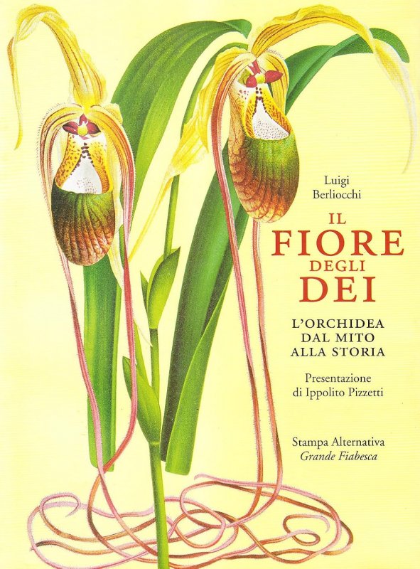 Il fiore degli dei. L'orchidea dal mito alla storia