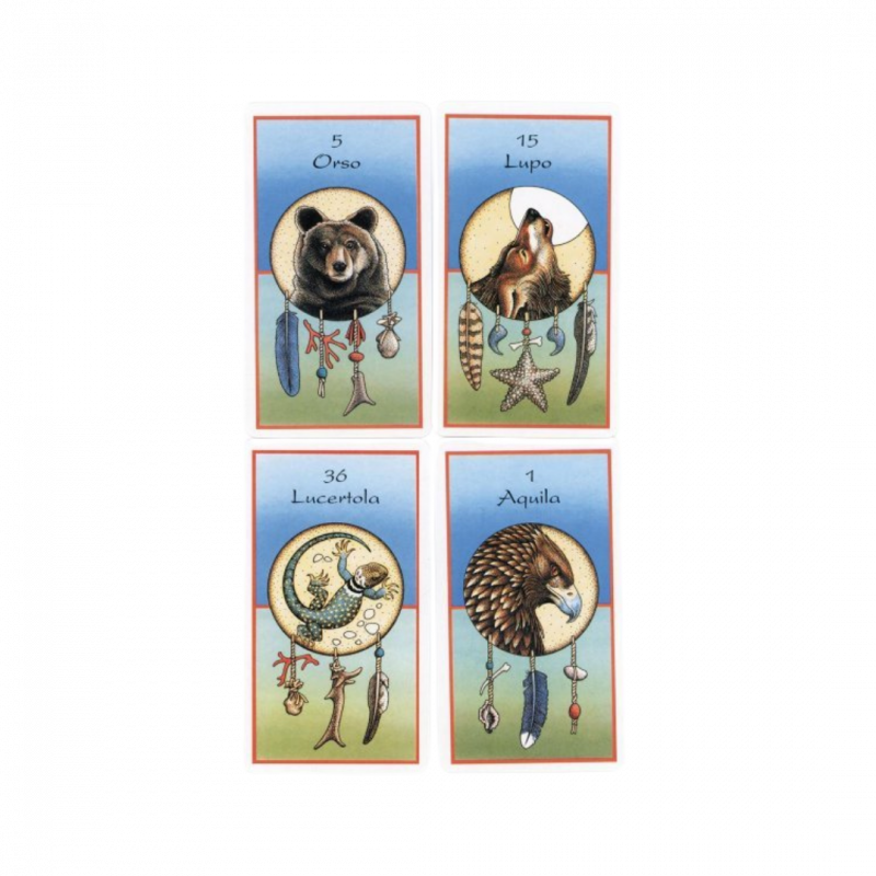 Le carte-medicina. Con 54 carte