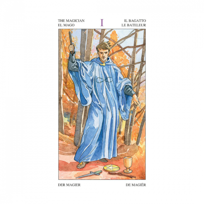 Tarocchi dei maghi. con istruzioni