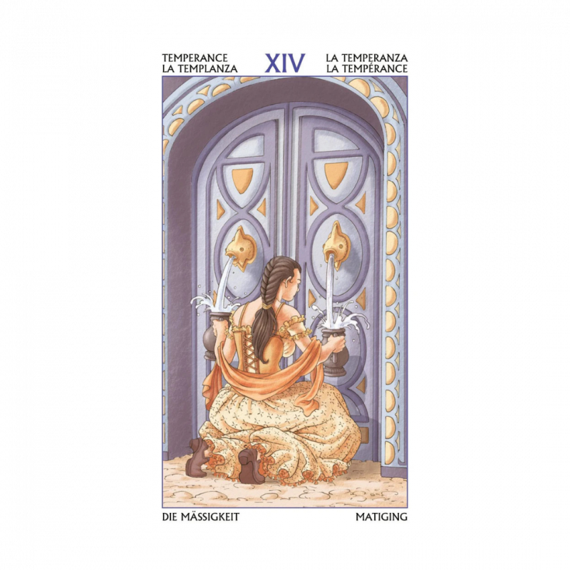 Tarocchi delle 78 porte. con libro