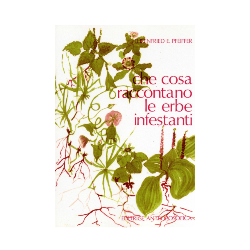 Che cosa raccontano le erbe infestanti