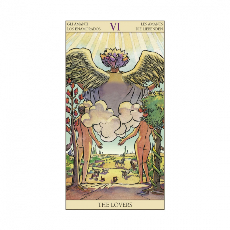 Tarocchi della nuova visione. con libro