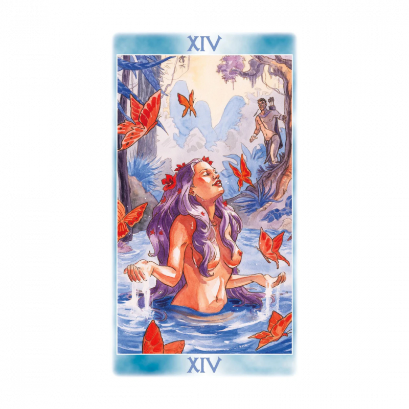 Tarocchi degli sciamani. 78 carte