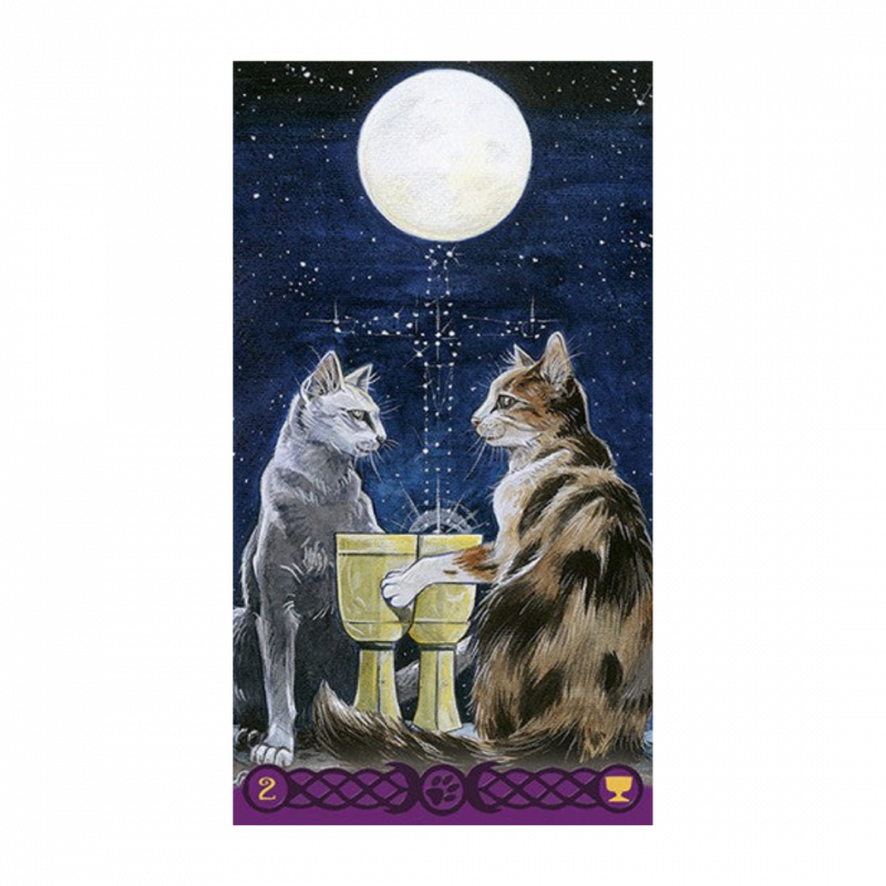 Tarocchi dei gatti pagani