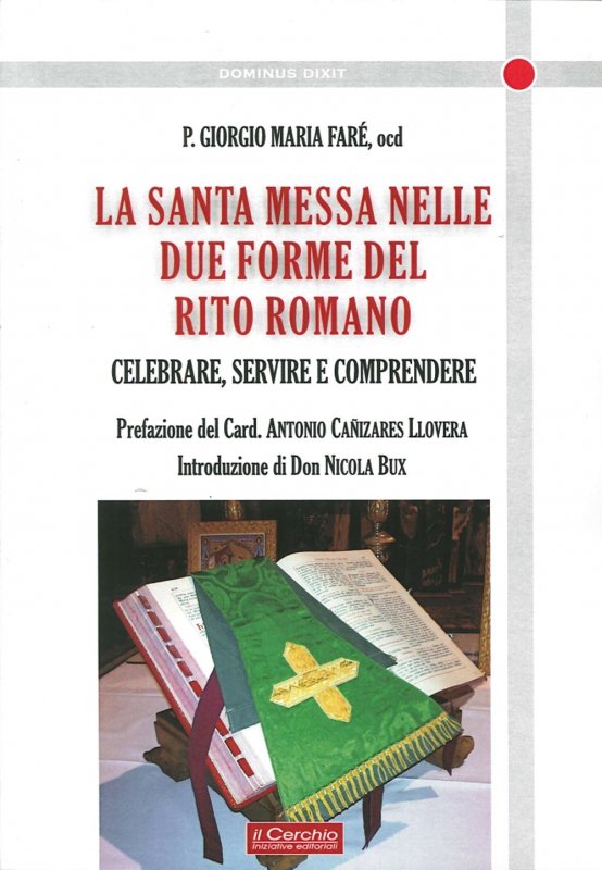 Ukemi. Studio e didattica delle tecniche di caduta utilizzate nell'aikido