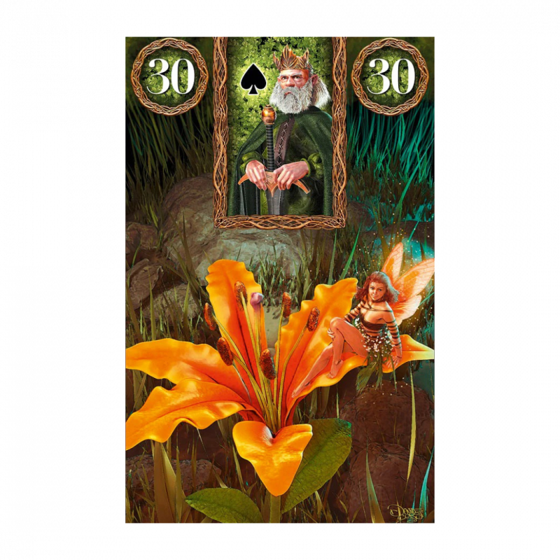 Fairy. Lenormand. Oracle cards. Con 36 carte