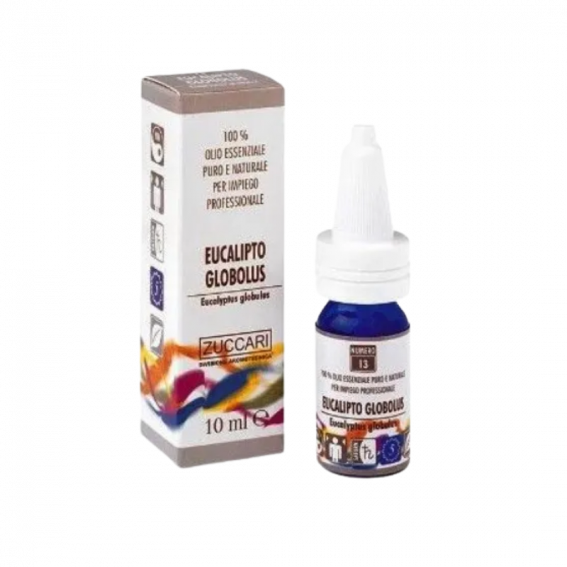 Eucalipto globulus - olio essenziale 10 ml