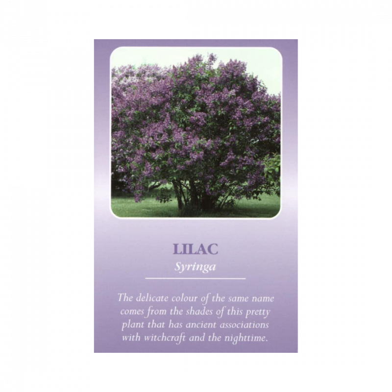 Herbal recognition cards