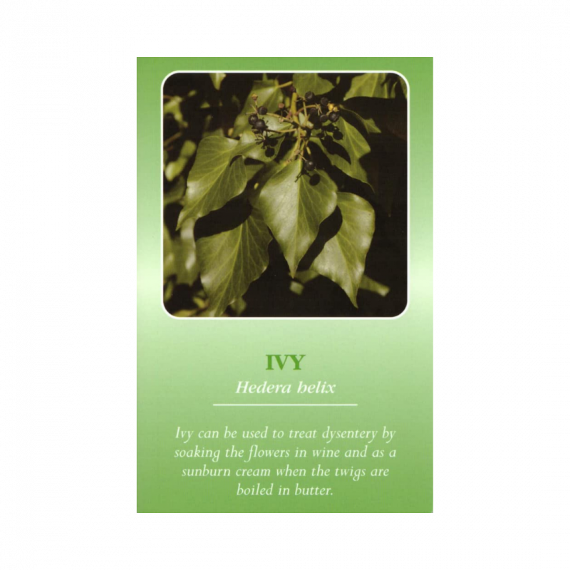 Herbal recognition cards