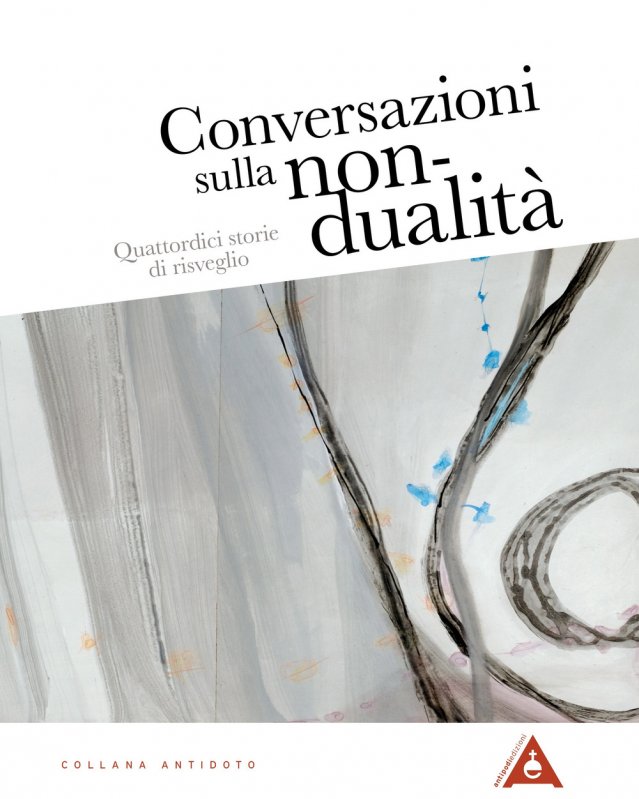 Conversazioni sulla non-dualità. Quattordici storie di risveglio