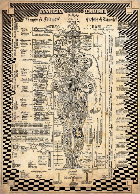 Anatomiae occultii. anatomia occulta (poster)