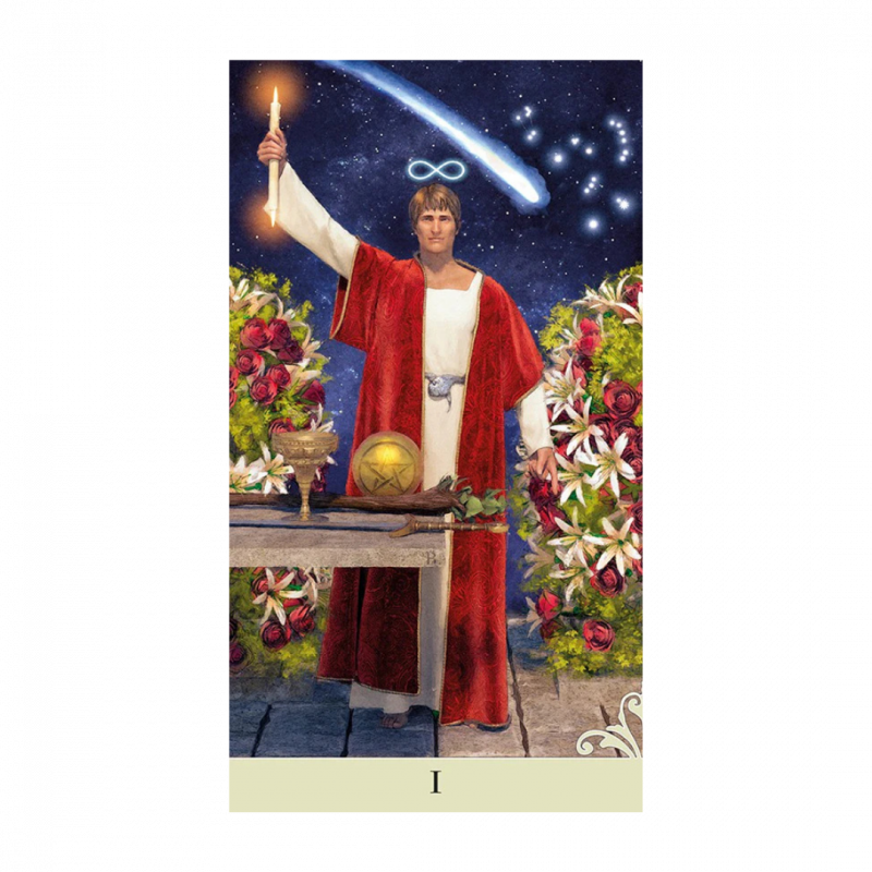 Viceversa tarot. con libro