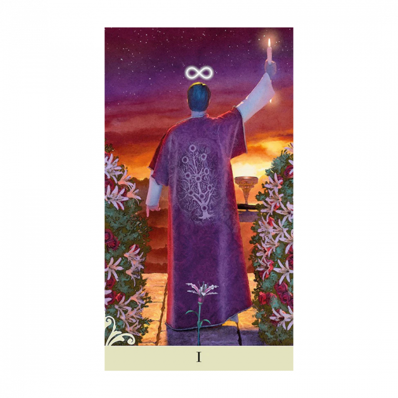 Viceversa tarot. con libro