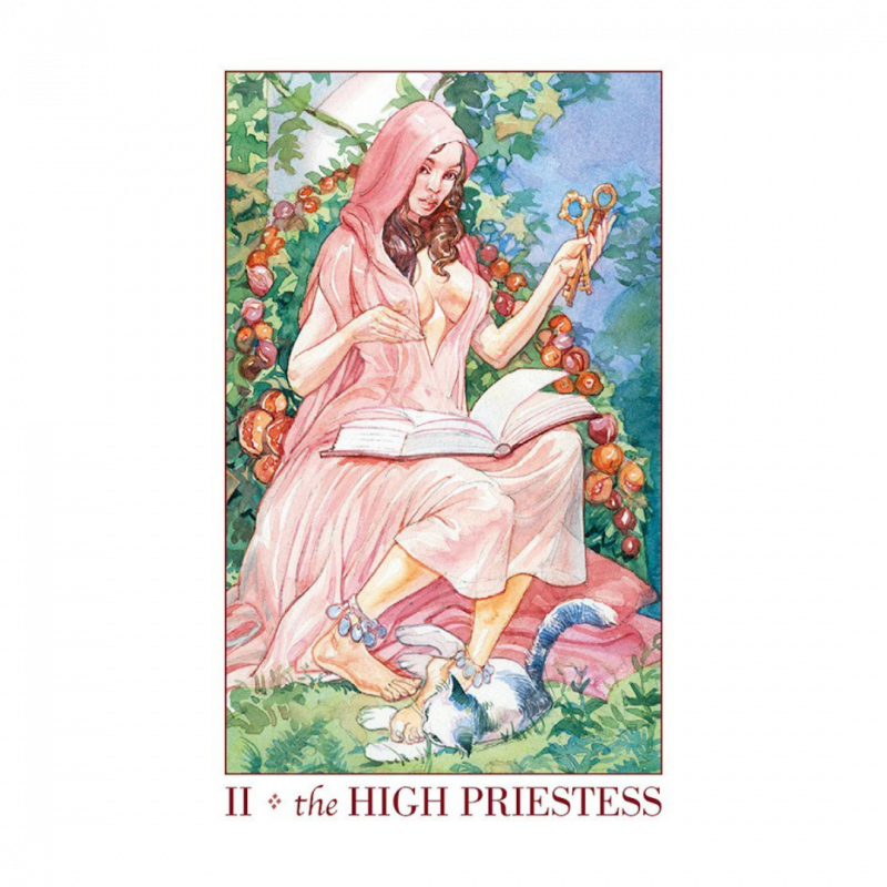 Sexual magic. mini tarocchi