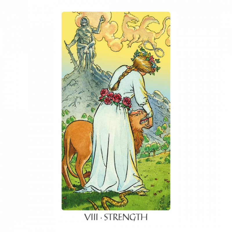 Mini tarot of the new vision