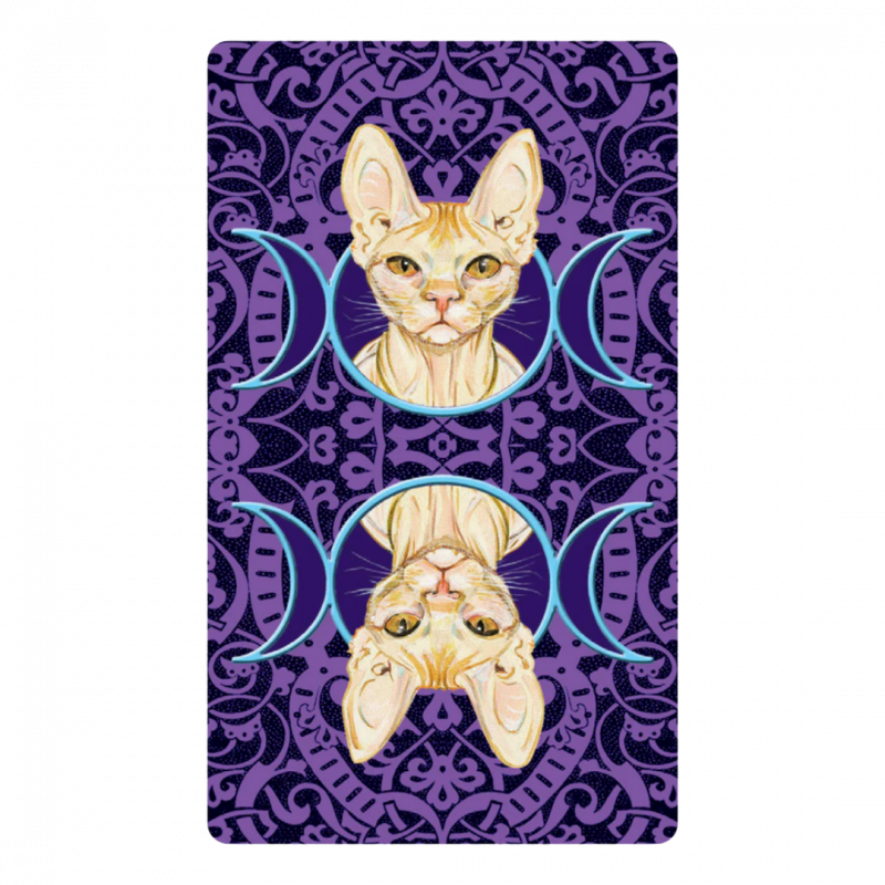 Pagan cats tarot mini