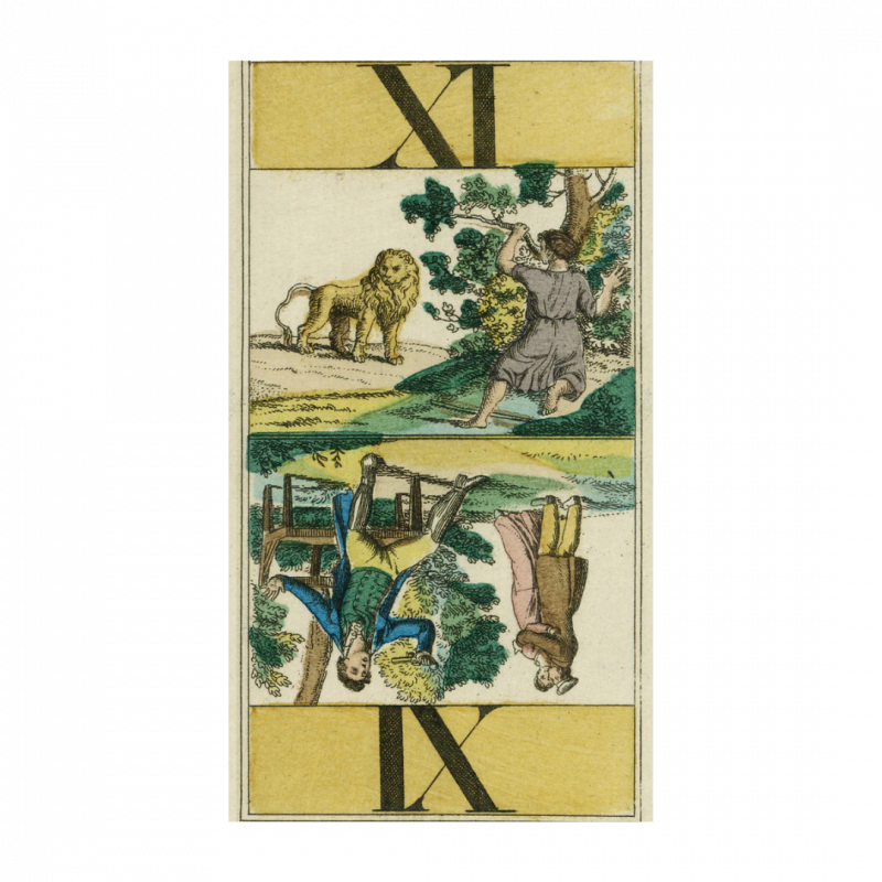 Tarot steinberger. ediz. multilingue