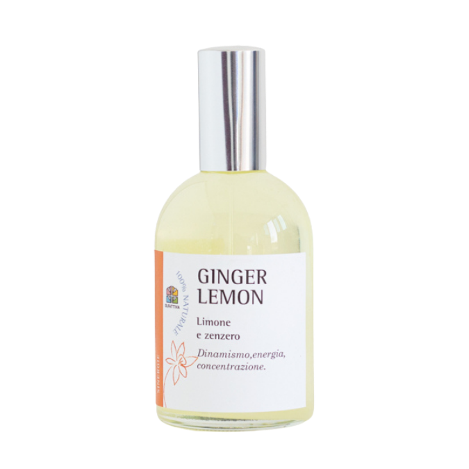 Ginger lemon - aromaterapia per l'anima 115 ml