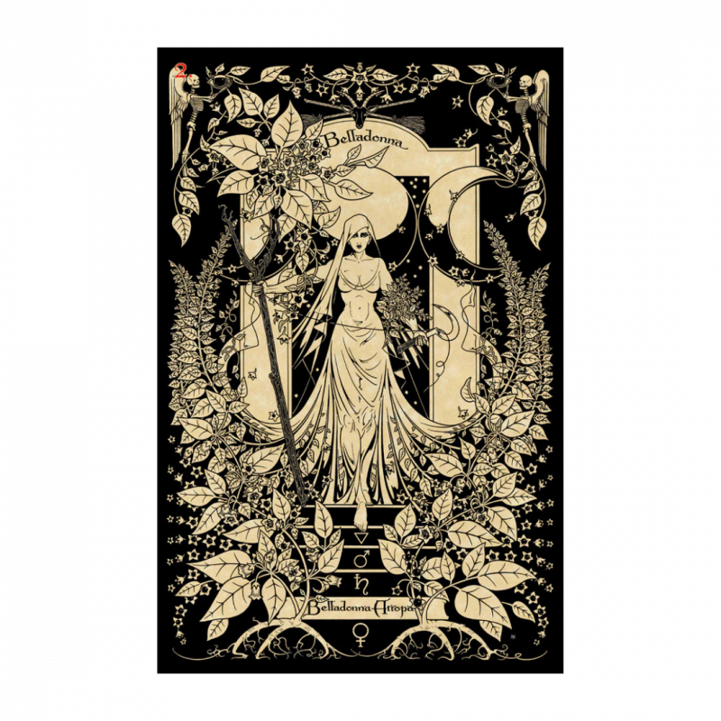 Magickal botanical oracle. ediz. multilingue (the)