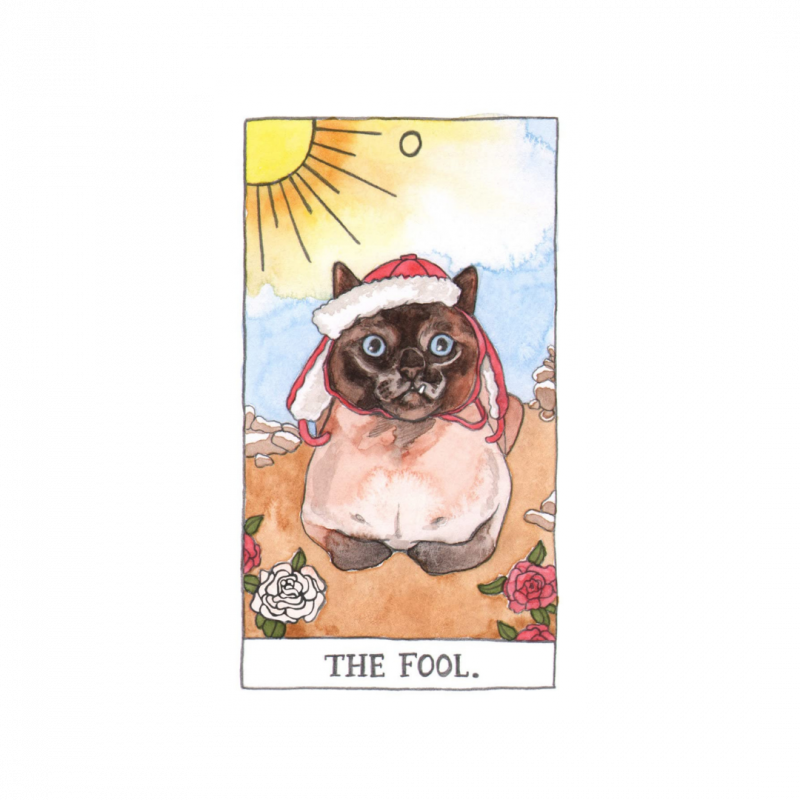 Cat tarot