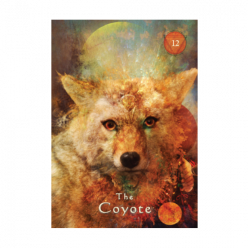 Mystical shaman oracle