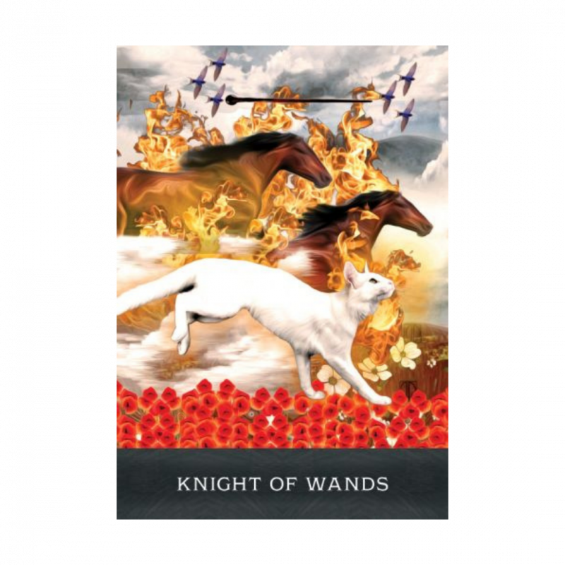 Grimalkin's curious cats tarot