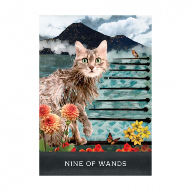 Grimalkin's curious cats tarot