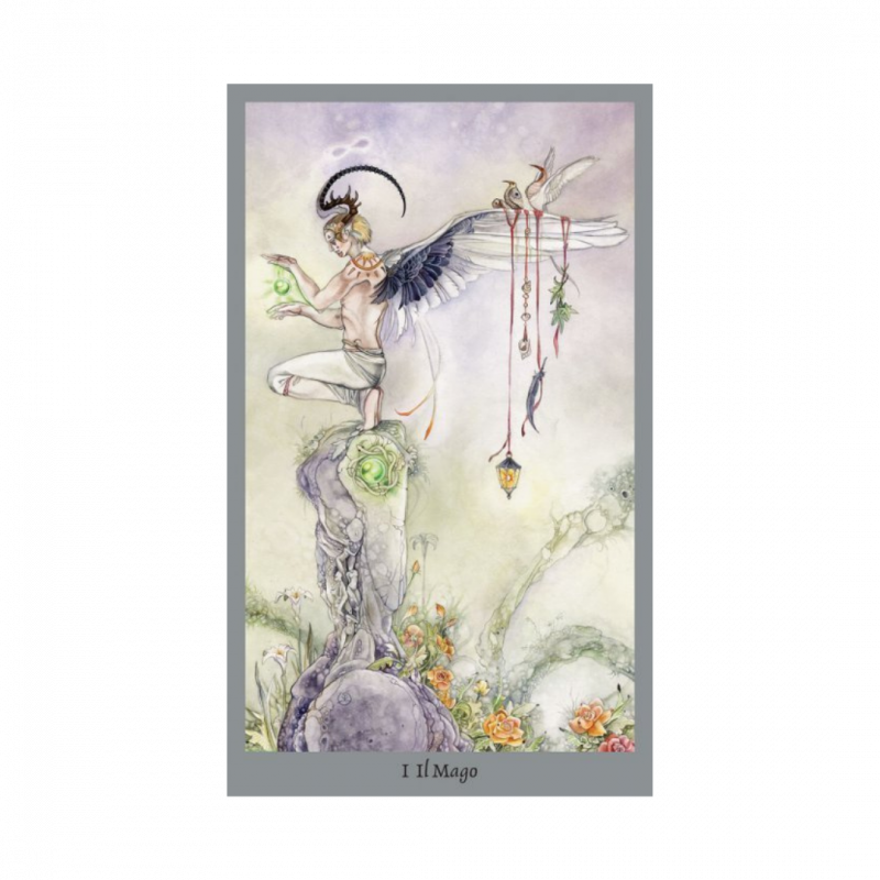 Tarocchi shadowscapes. con libro