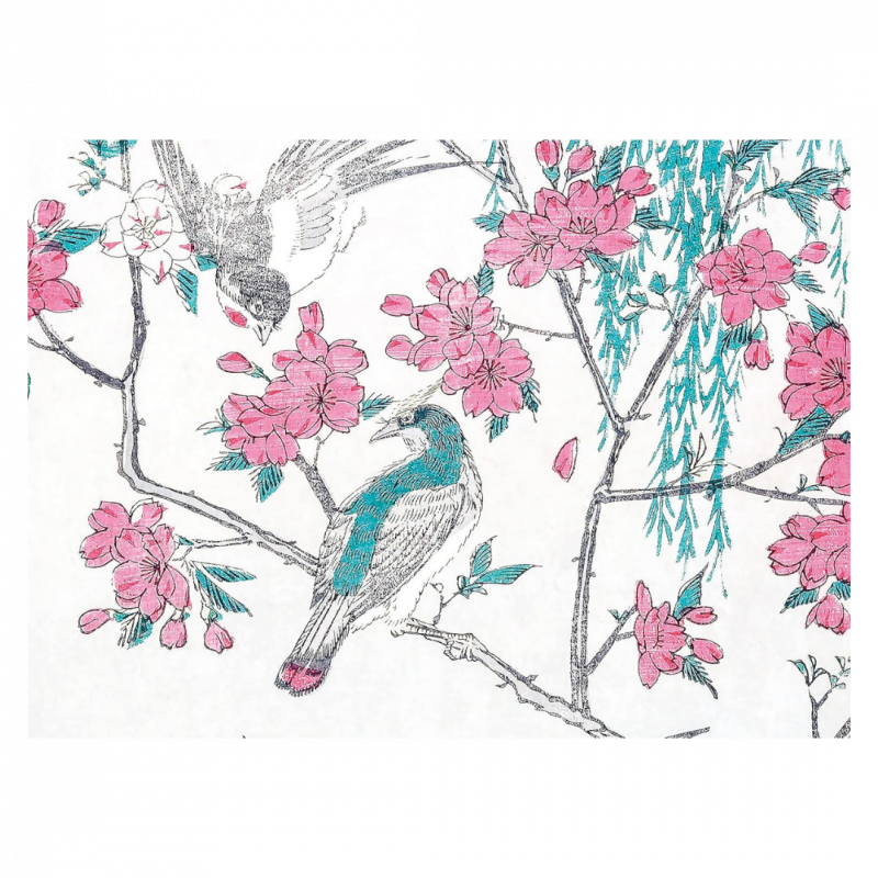 I ciliegi in fiore