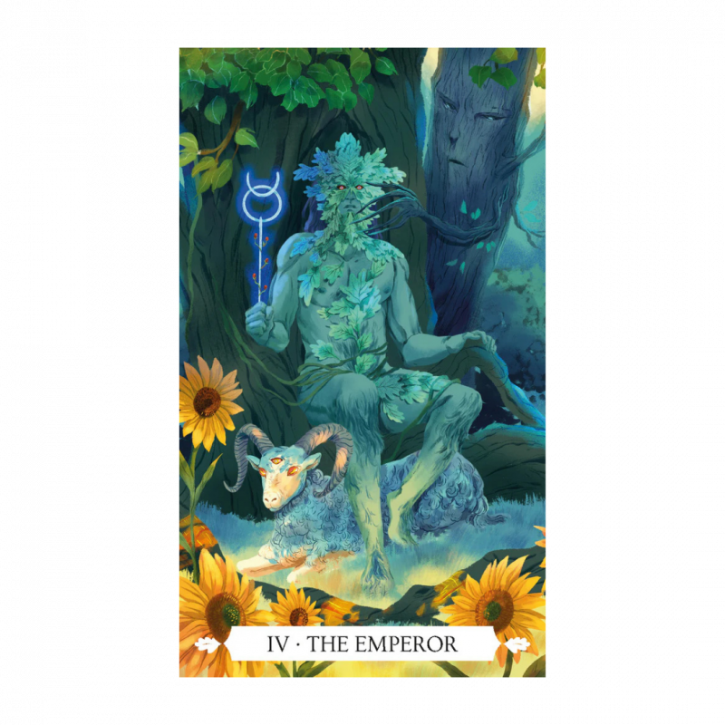 Under the oak. tarot. con libro