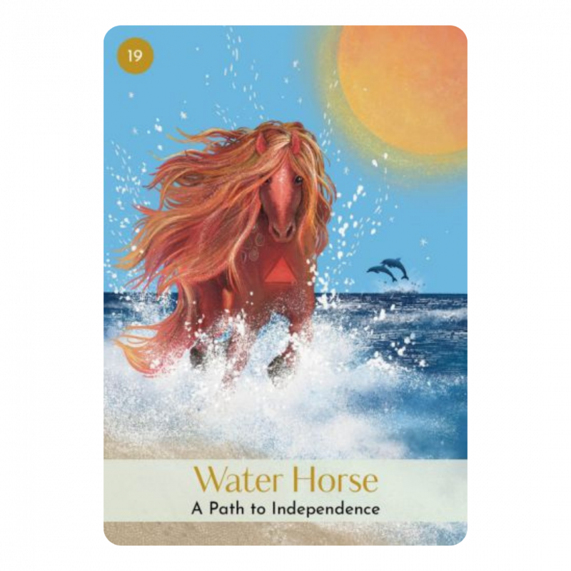 Chinese five elements oracle (the)