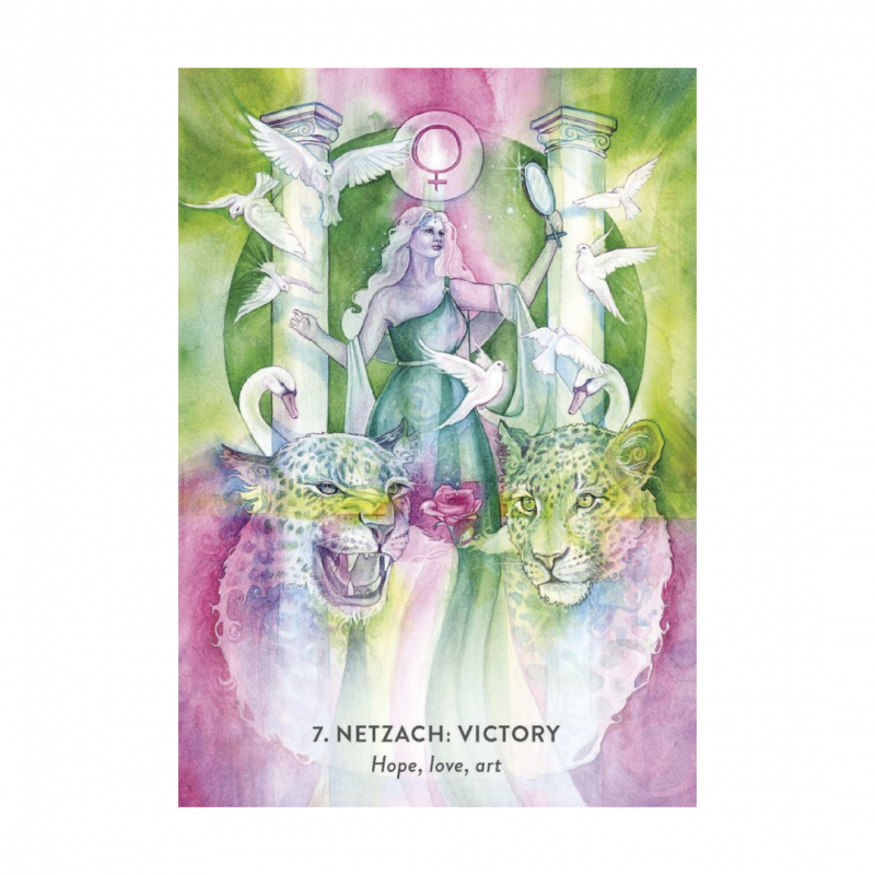 Tree of life oracle (the)