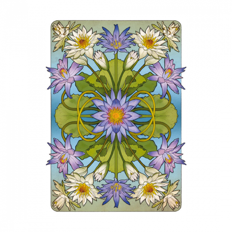 Egyptian art nouveau lenormand oracle. con libro