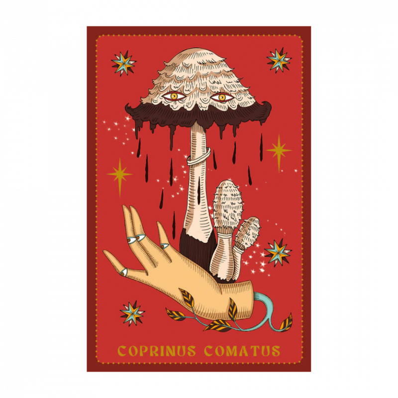 Herbarium oracle. con libro