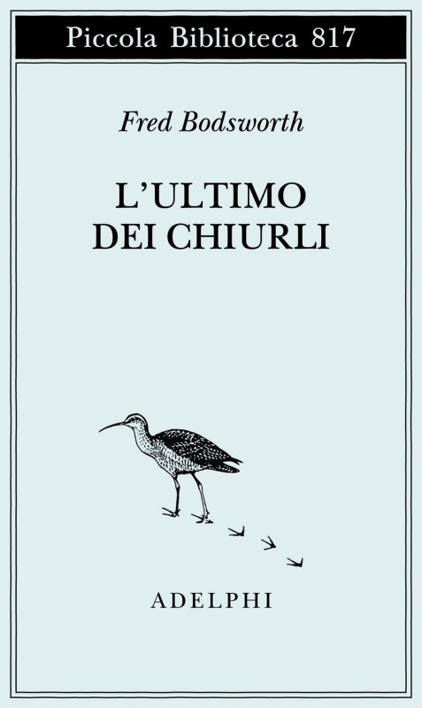 L'ultimo dei chiurli