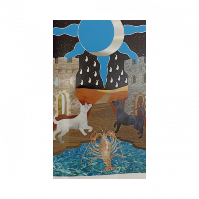 Tarocco medievale - mazzo