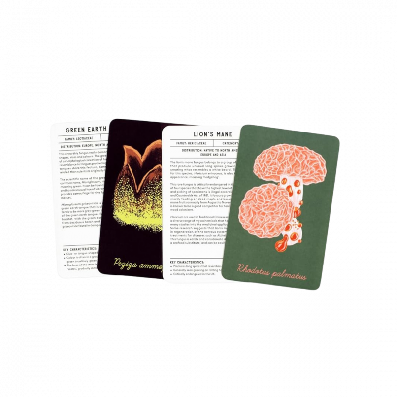 Mushroom compendium (the)