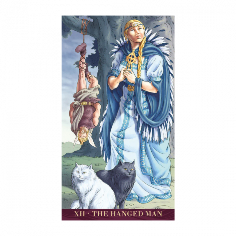 Tarot of the goddesses. ediz. multilingue