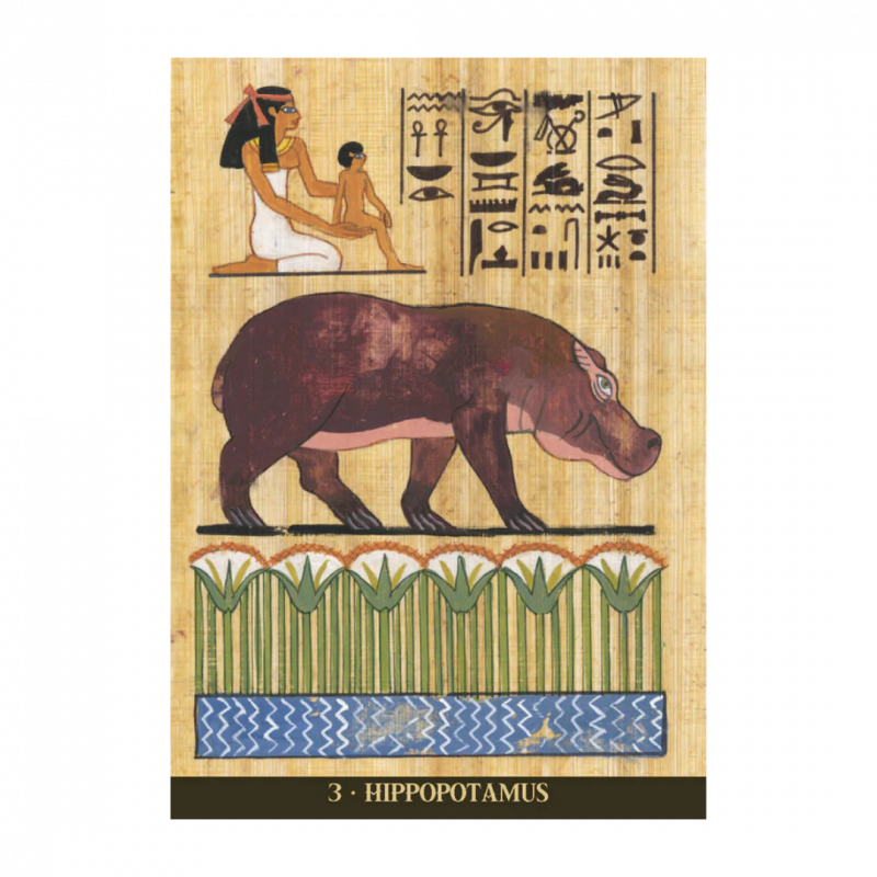 Egyptian sacred animals oracle cards