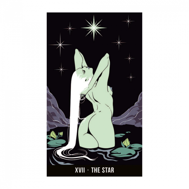 Wild eden tarot. con libro in brossura