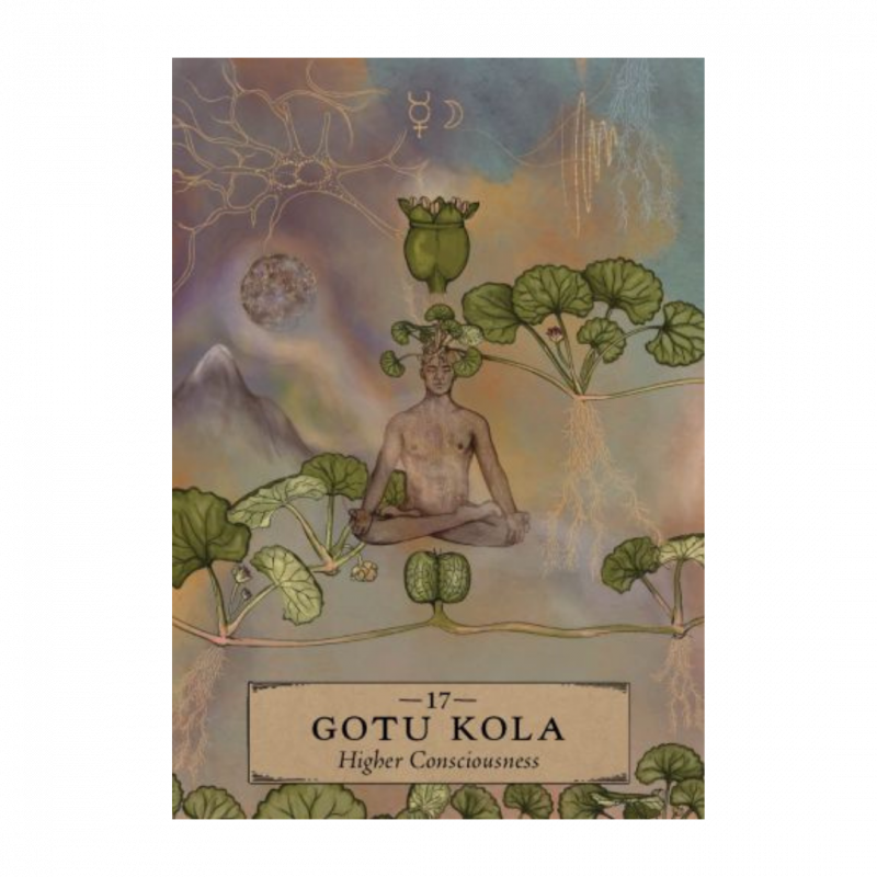 Herbal astrology oracle (the)