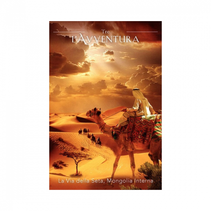 Oracolo del viaggiatore del tempo. 44 carte. con guida (l')