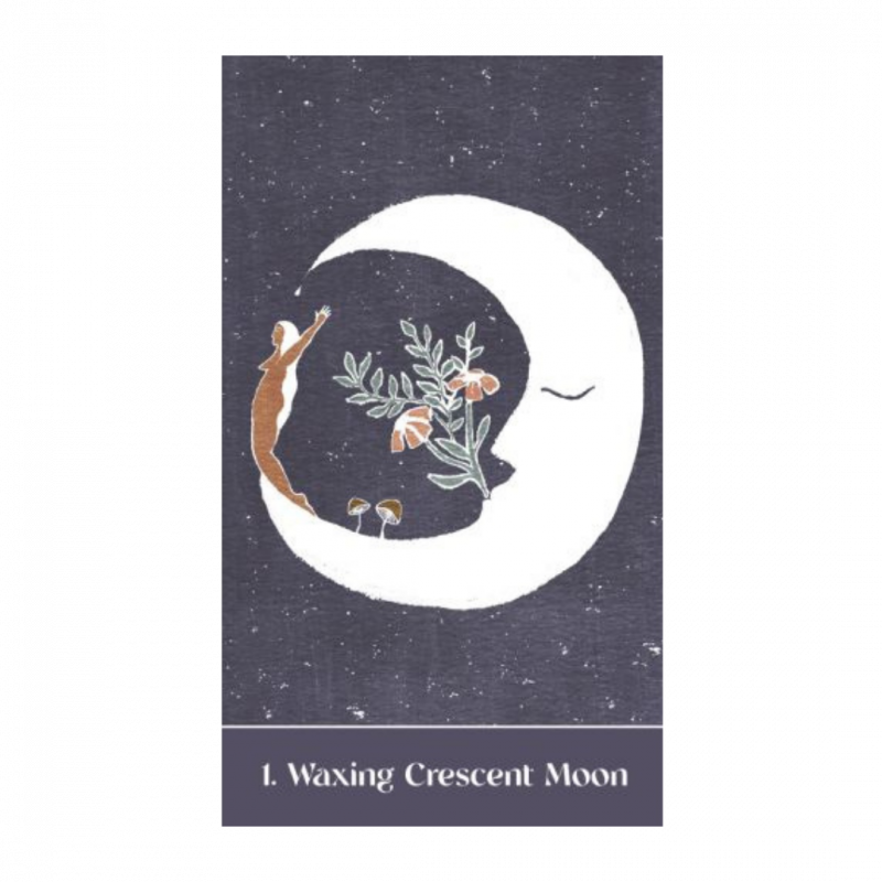 Sacred cycles oracles (the)