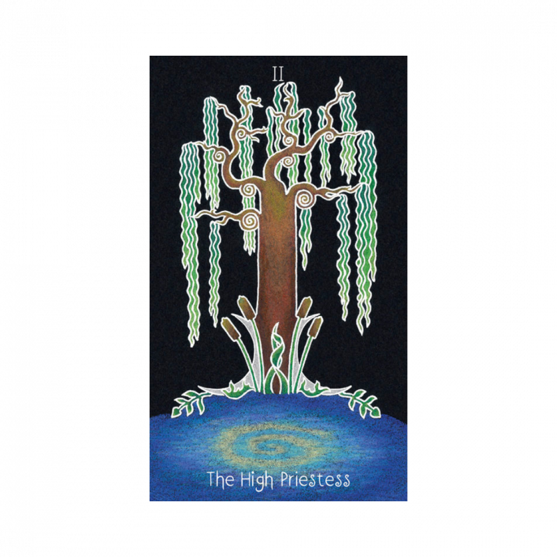 Animystic tarot (the)