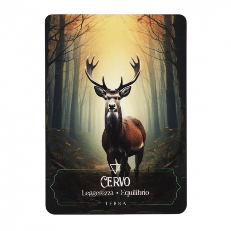 Oracolo delle streghe. 45 carte. con guida illustrata (l')