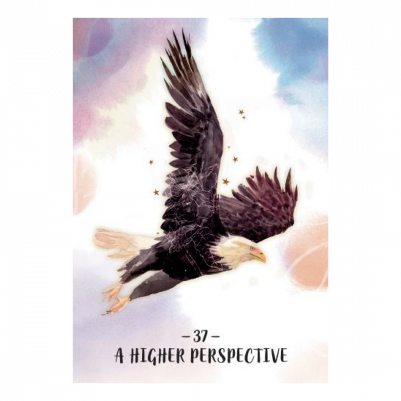 Sisterhood of the seers oracle