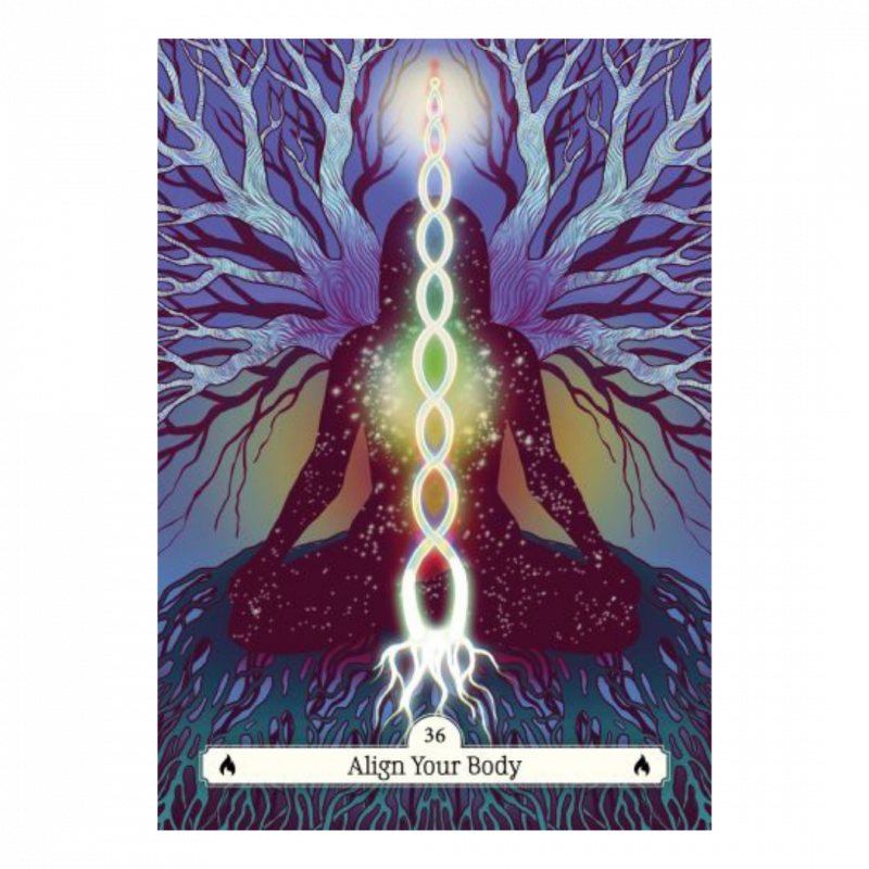 Witch's way home oracle (the)