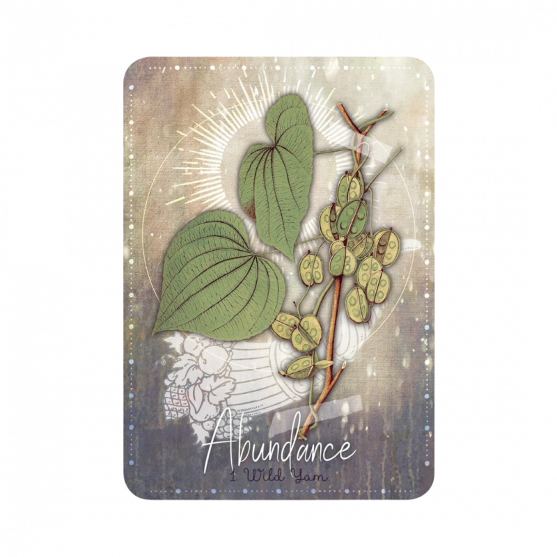 Magickal herb oracle