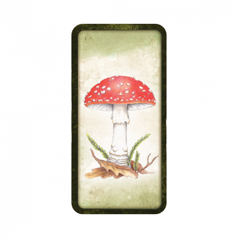 Mushroom affirmations