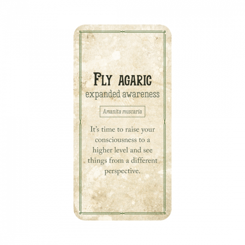 Mushroom affirmations